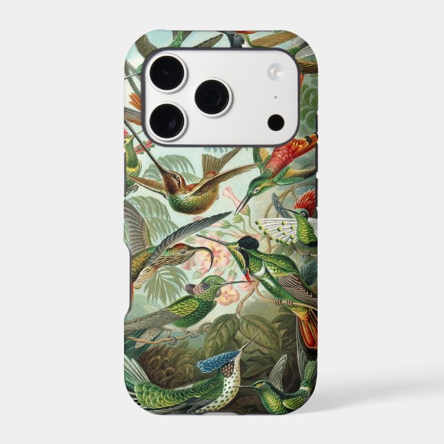 Hummingbird (Back)