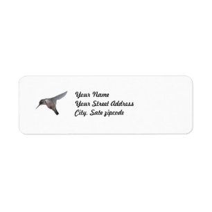 Hummingbird