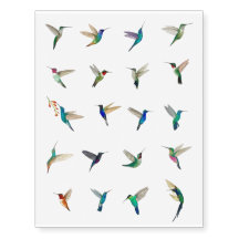 Hummingbird