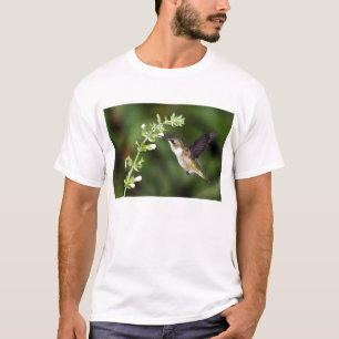 Hummingbird 10 T-Shirt