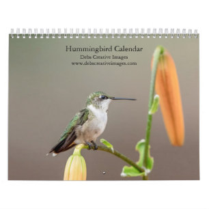 Hummingbird 2025 calendar
