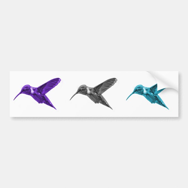 Hummingbird 2054 bumper sticker (Front)