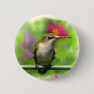 Hummingbird 2 Inch Round Button