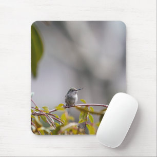 Hummingbird 3346 mouse pad