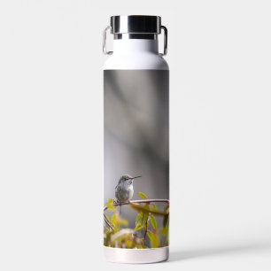 Hummingbird 3346 water bottle