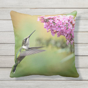 Hummingbird 5053 throw pillow
