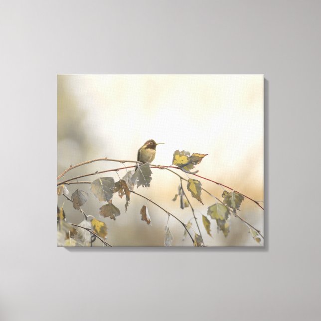 Hummingbird 5265 canvas print (Front)