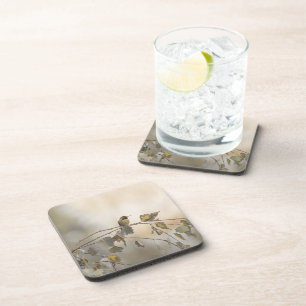 Hummingbird 5265 coaster