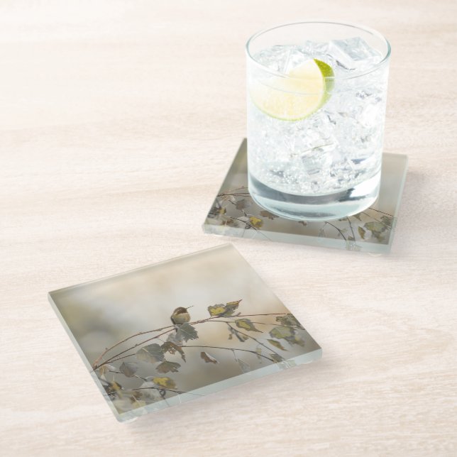 Hummingbird 5265 glass coaster (Angled)