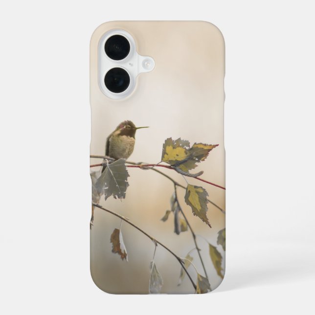 Hummingbird 5265 iPhone 16 case (Back)