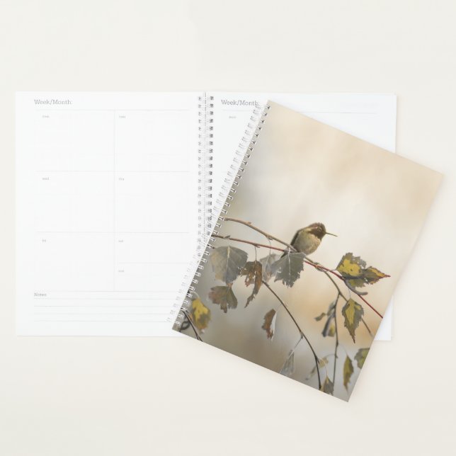 Hummingbird 5265 planner (Display)