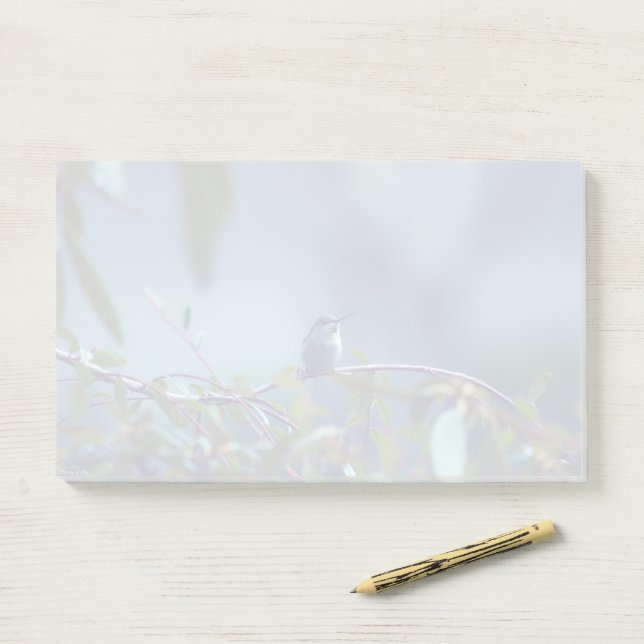 Hummingbird 5738 post-it notes (On Desk)