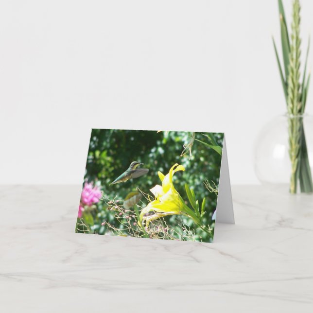 Hummingbird 5 card (Front)