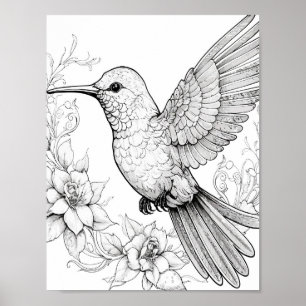 Hummingbird Adult Coloring Poster