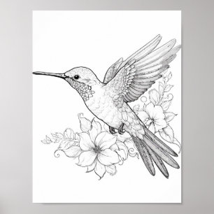 Hummingbird Adult Coloring Poster