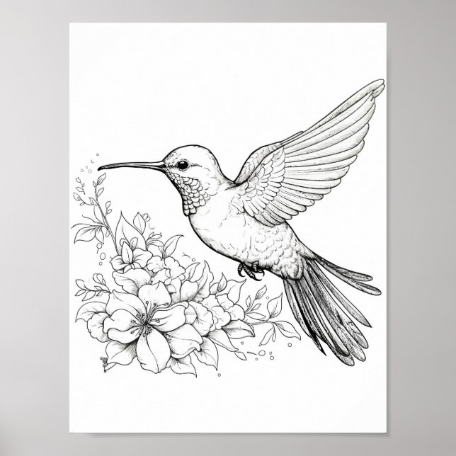 Hummingbird Adult Colouring Poster (Front)