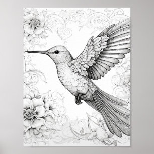 Hummingbird Adult Colouring Poster