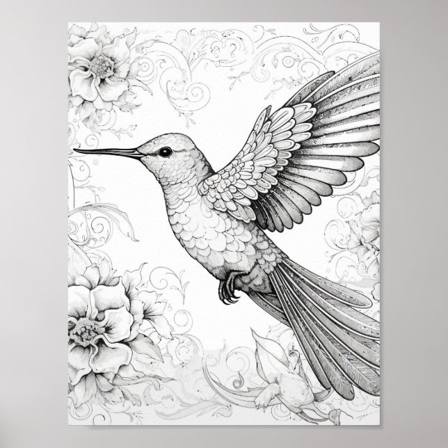 Hummingbird Adult Colouring Poster (Front)