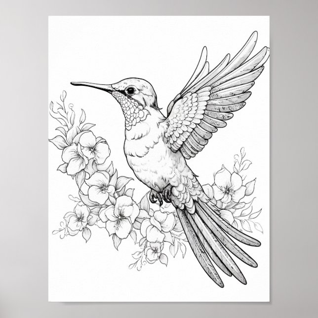 Hummingbird Adult Colouring Poster (Front)