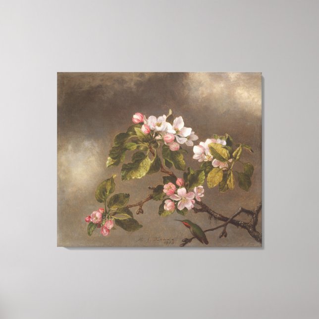 Hummingbird And Apple Blossoms Canvas Print (Front)
