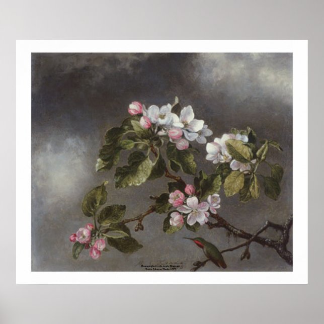 Hummingbird and Apple Blossoms Martin J. Heade Poster (Front)