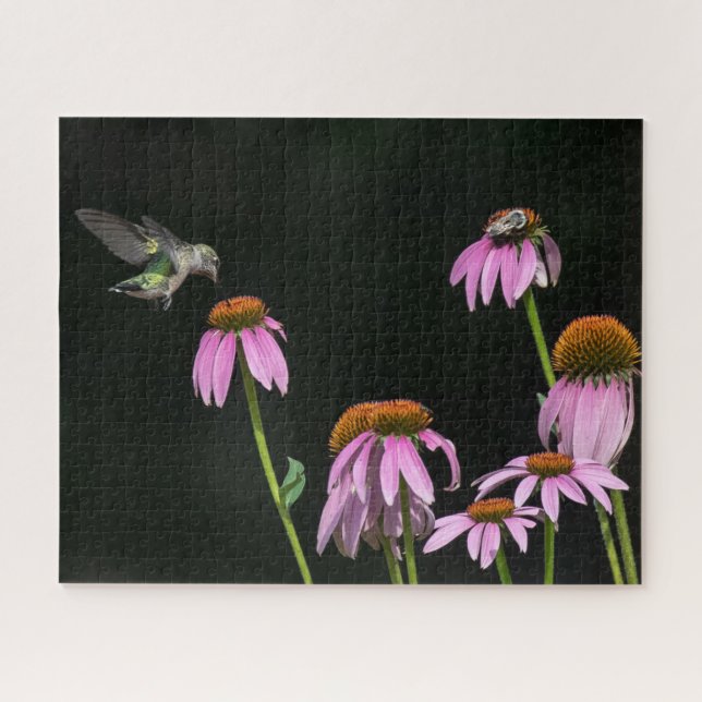 Hummingbird And Bee Share A Coneflower Jigsaw Puzzle (Horizontal)