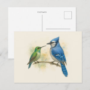 Hummingbird and Blue Jay Nature  Postcard