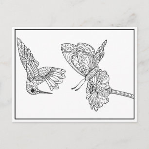 Hummingbird and Butterfly Colouring Postcard