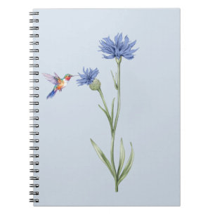 Hummingbird and Cornflower Notebook