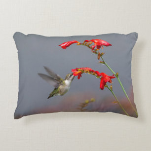 Hummingbird And Crocosmia Accent Pillow