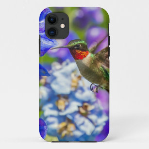 Hummingbird And Delphinium iPhone 11 Case