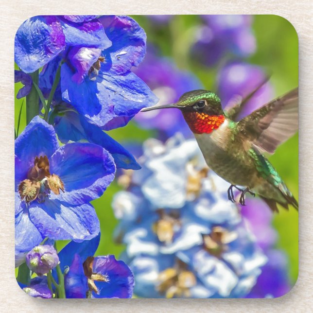 Hummingbird And Delphinium Coaster (Front)