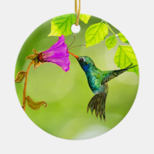 Hummingbird and Flower Hanging Pull Ceramic Ornament