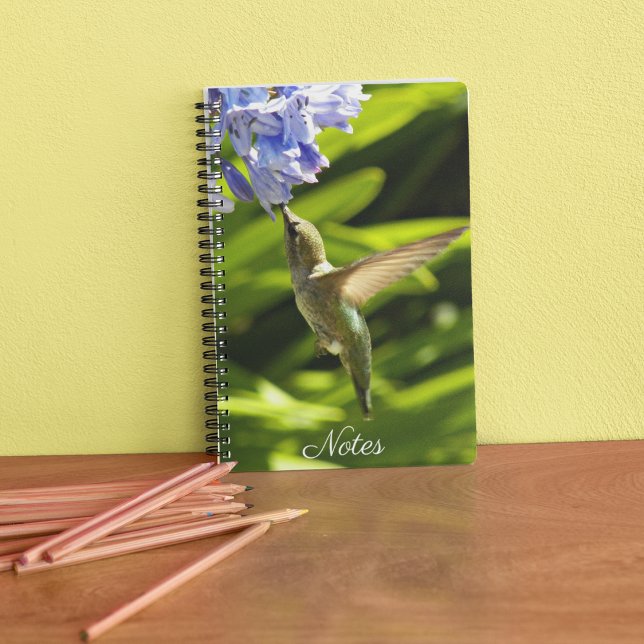 Hummingbird and Flower Nature Photo Notebook (In Situ)