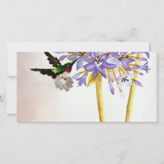 Hummingbird and Flowers