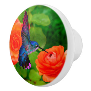 Hummingbird and Flowers Ceramic Knob