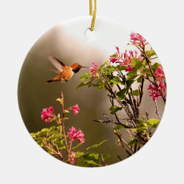 Hummingbird and Flowers Ceramic Ornament (Front)
