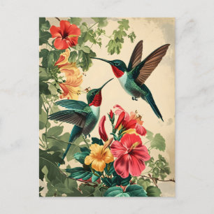 Hummingbird and Flowers: Vintage Postcard