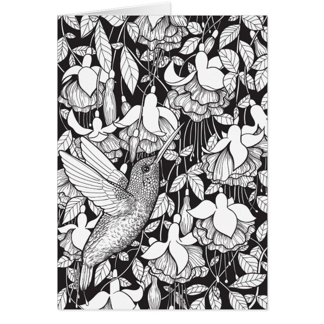 Hummingbird and fuchsia (Front)