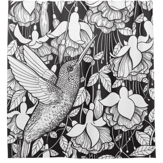 Hummingbird and fuchsia (Front)