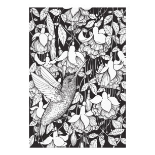Hummingbird and fuchsia photo print