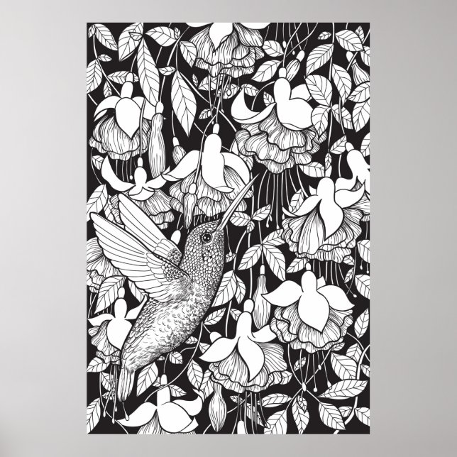 Hummingbird and fuchsia poster (Front)
