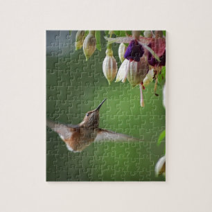 Hummingbird and Fushia Plant Jigsaw Puzzle