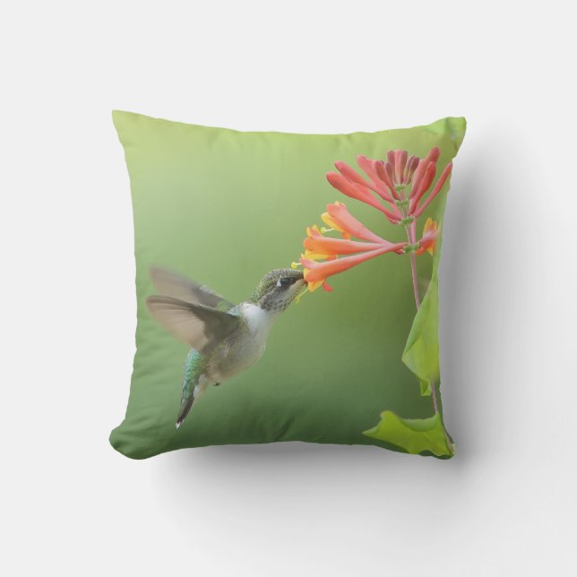 Hummingbird and Honeysuckle Throw Pillow (Front)