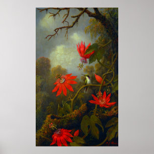 Hummingbird and Passionflowers (1875) Poster
