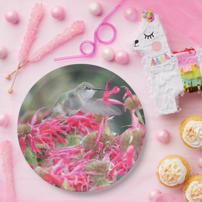 Hummingbird and Pink Flowers Paper Plate (Party)