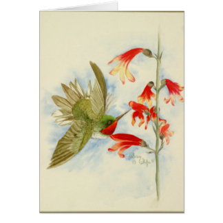 Hummingbird and Red Blossoms