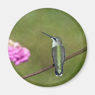 Hummingbird and Zinnia Magnet