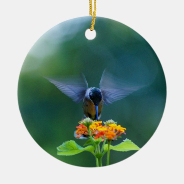 Hummingbird Angel Wings Ornament (Front)