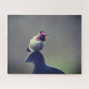 Hummingbird Anna's Puzzle